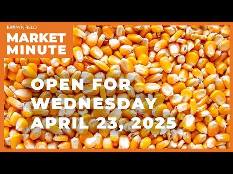 Corn is down Wednesday morning | Opening Market Minute cover art