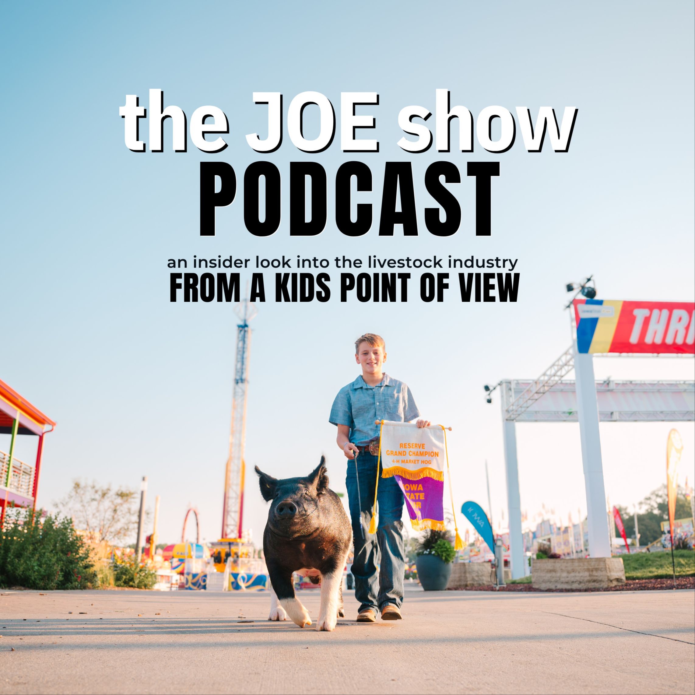 the JOE show