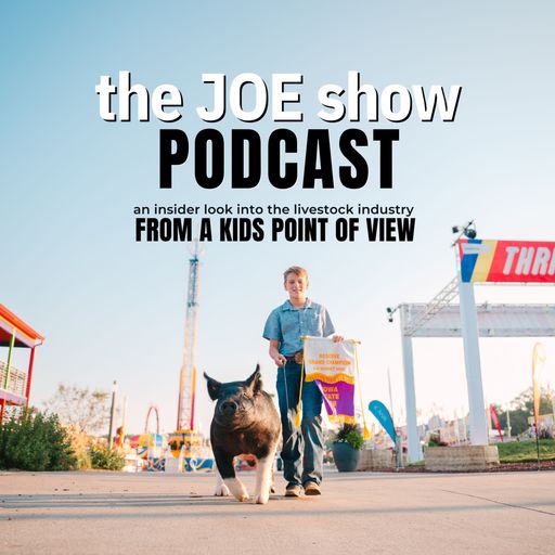 the JOE show cover art