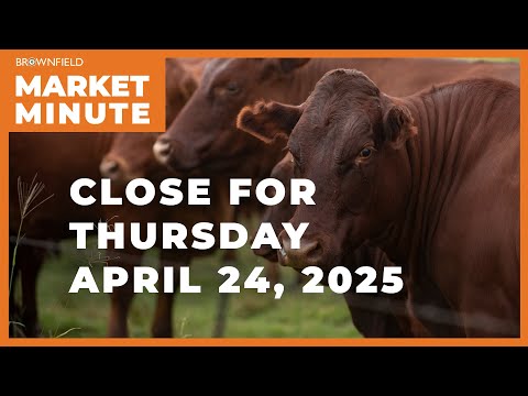 Cattle were mostly higher Thursday | Closing Market Minute