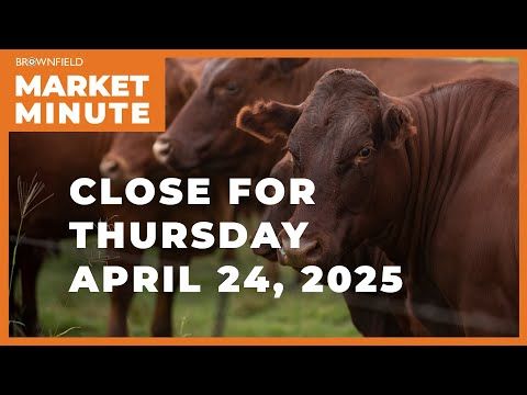 Cattle were mostly higher Thursday | Closing Market Minute cover art