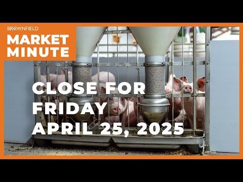 Hogs were higher Friday | Closing Market Minute cover art