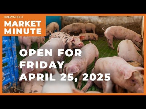 Hogs are mostly higher to start Friday | Opening Market Minute cover art