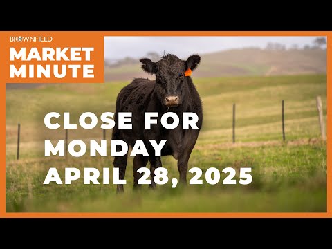 Cattle futures higher to start the week | Closing Market Minute