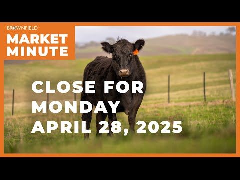 Cattle futures higher to start the week | Closing Market Minute cover art