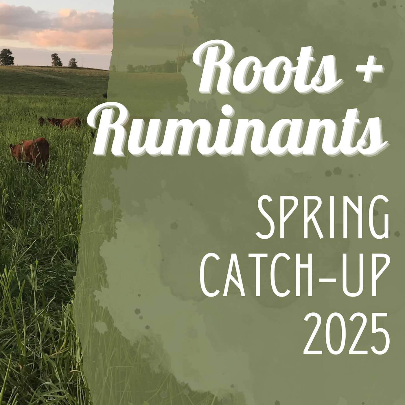 Spring Catch-Up: 2025 cover art