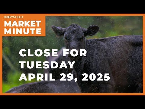 Cattle were up Tuesday | Closing Market Minute cover art