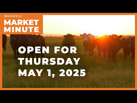 Cattle are higher Thursday morning | Opening Market Minute