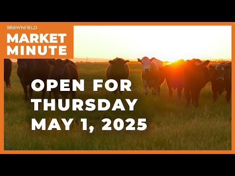 Cattle are higher Thursday morning | Opening Market Minute cover art