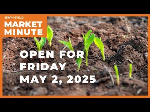 Corn opened higher Friday | Opening Market Minute cover art