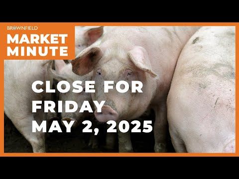 Hogs were higher Friday | Closing Market Minute cover art