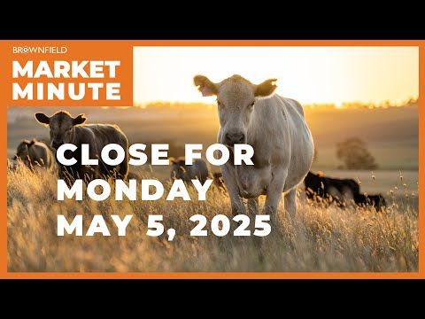 Cattle were higher Monday | Closing Market Minute cover art