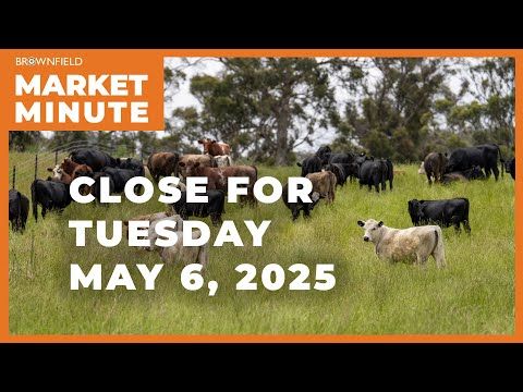 Cattle were mostly higher Tuesday | Closing Market Minute cover art