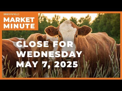 Cattle closed lower Wednesday | Closing Market Minute cover art