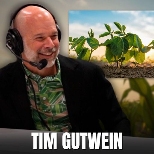 What Makes a Team Willing to Run Through a Wall? Tim Gutwein Tells All cover art