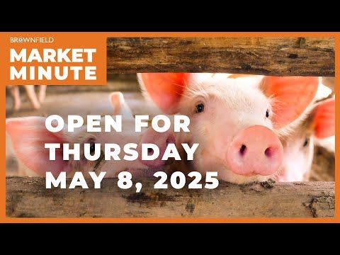 Hogs are down early Thursday | Opening Market Minute cover art
