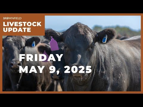 Cattle futures gain more than $3 this week | Weekly Livestock Market Update cover art