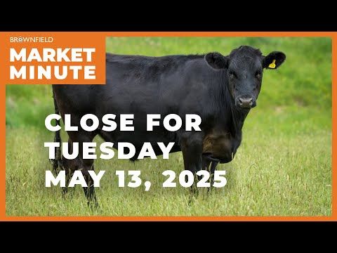 Cattle were mixed Tuesday | Closing Market Minute cover art