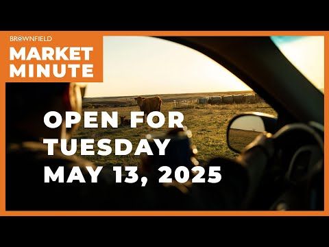 Cattle are lower Tuesday morning | Opening Market Minute cover art