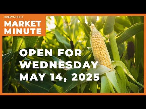 Corn is down Wednesday morning | Opening Market Minute cover art