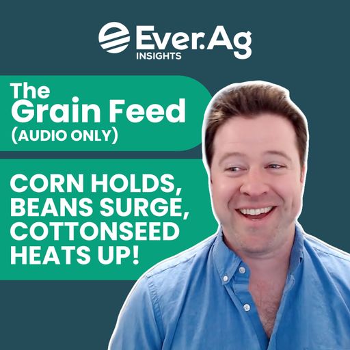 The Grain Feed (AUDIO ONLY) - Corn Holds, Beans Surge, Cottonseed Heats Up! - May 14, 2025 cover art