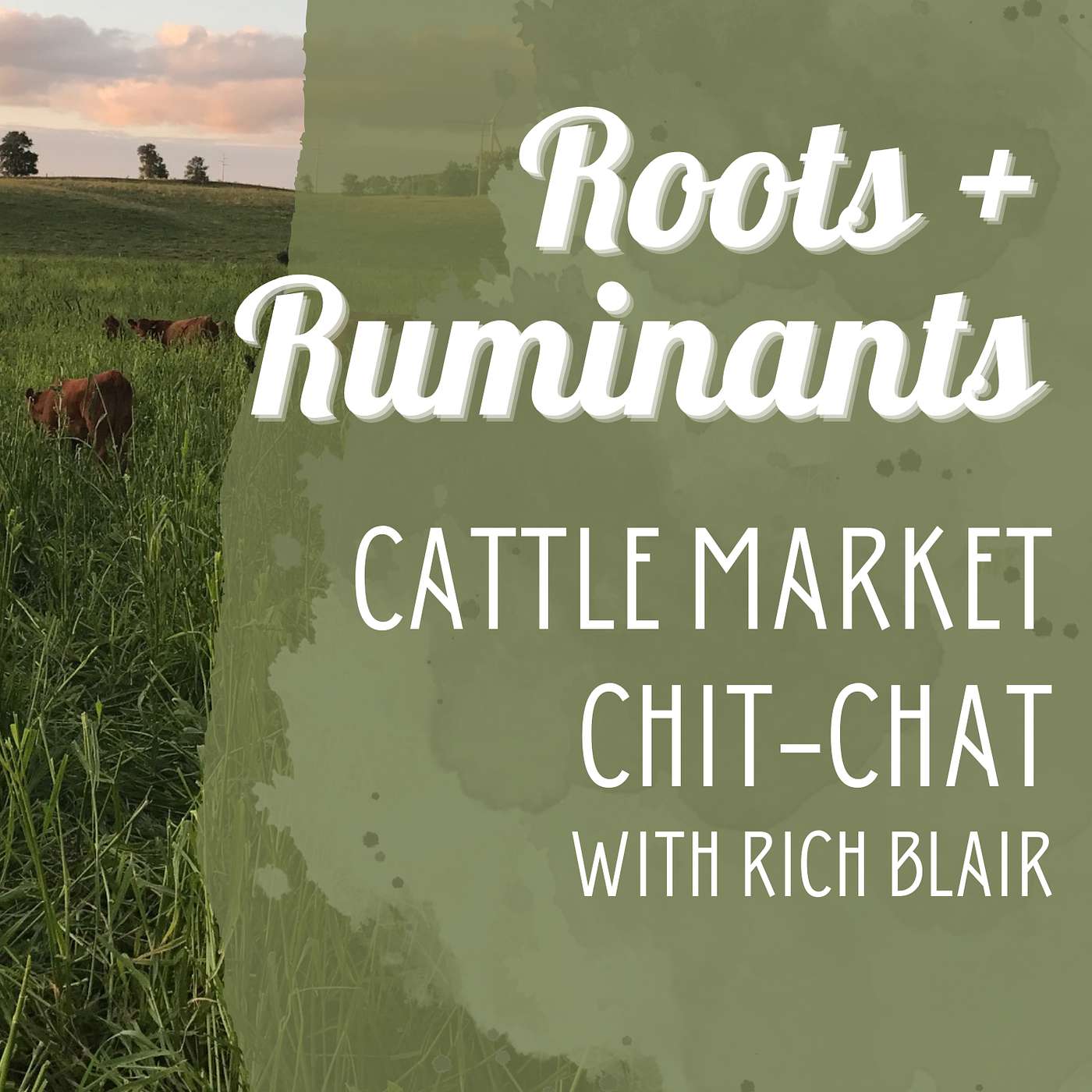Cattle Market Chit-Chat with Rich Blair cover art