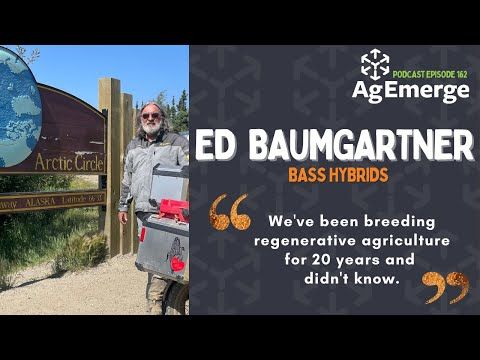 AgEmerge Podcast 162 with Ed Baumgartner #farming #podcast #seed #hybrids #regenerativeagriculture cover art