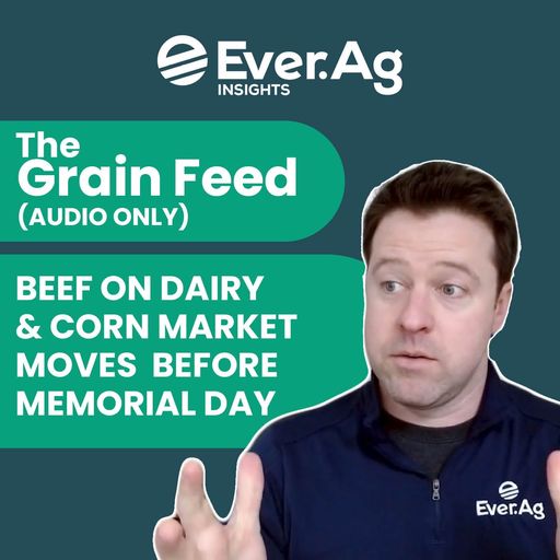 The Grain Feed (AUDIO ONLY) - Beef on Dairy & Corn Market Moves Before Memorial Day! - May 22, 2025 cover art
