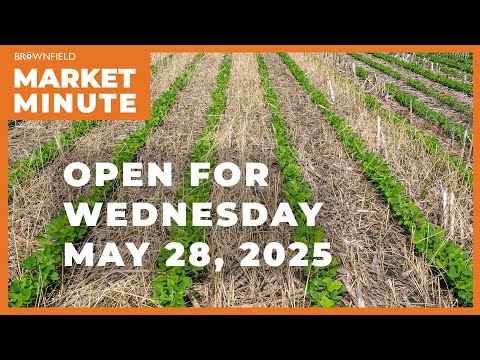 Soybeans are lower Wednesday | Opening Market Minute