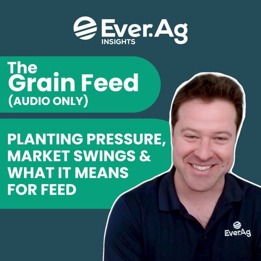 The Grain Feed (AUDIO ONLY) - Planting Pressure, Market Swings & What It Means for Feed - May 28, 2025 cover art