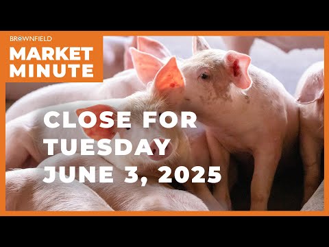 Hogs were mixed Tuesday | Closing Market Minute