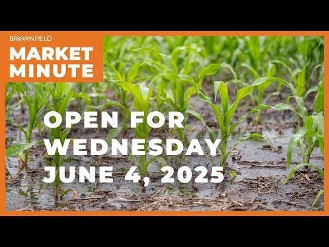 Corn is up Wednesday morning | Opening Market Minute cover art
