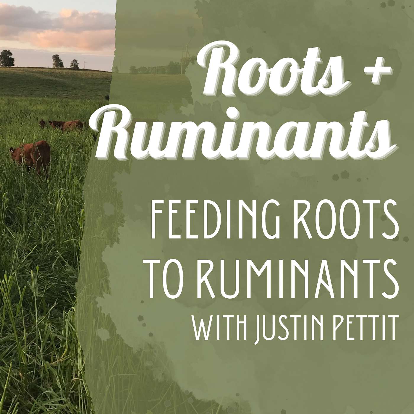 Feeding Roots to Ruminants with Justin Pettit cover art