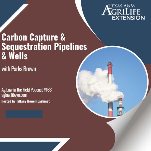 Episode #163: Parks Brown (Carbon Capture & Sequestration Pipelines & Wells) cover art