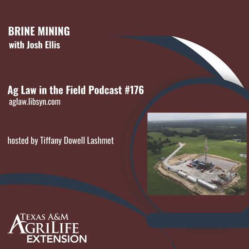 Episode #176: Josh Ellis (Brine Mining) cover art