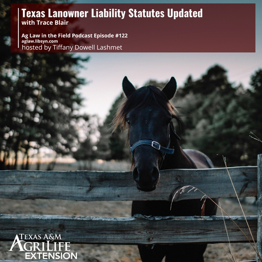 Episode #122 - Trace Blair (Texas Limited Liability Statutes Update) cover art