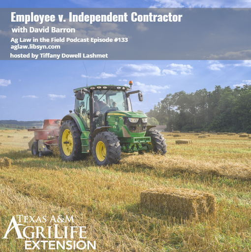Episode #133 - David Barron (Employee v. Independent Contractor) cover art