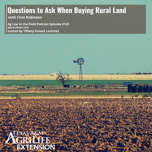Episode #125 - Clint Robinson (Questions to Ask When Buying Rural Land) cover art