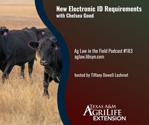Episode #183: Chelsea Good (New Electronic ID Requirements) cover art