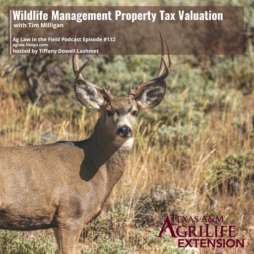 Episode #132 - Tim Milligan (Wildlife Management Property Tax Valuation in TX) cover art