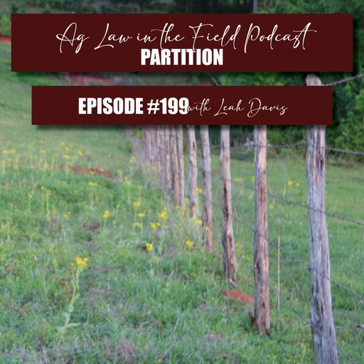 Episode #199: Leah Davis (Partition) cover art