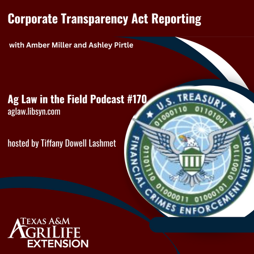 Episode #170 - Amber Miller and Ashley Pirtle (Corporate Transparency Act Reporting) cover art