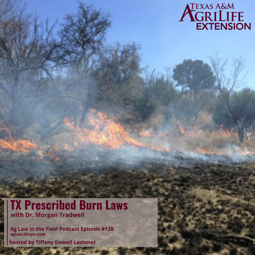 Episode #128 - Dr. Morgan Treadwell (TX Prescribed Burning Law) cover art