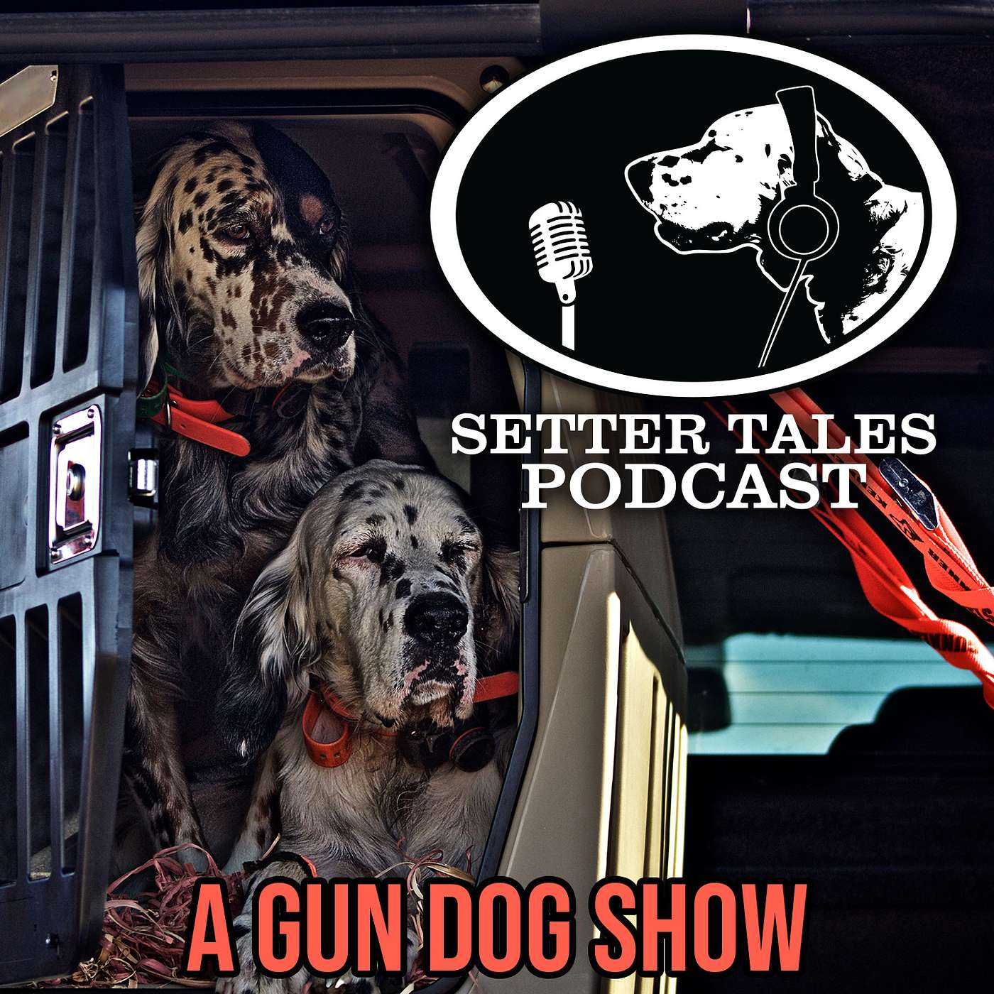Setter Tales Podcast cover art