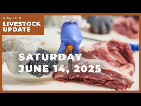 USDA lowers 2025 beef production, Cattle on Feed report preview | Weekly Livestock Market Update cover art
