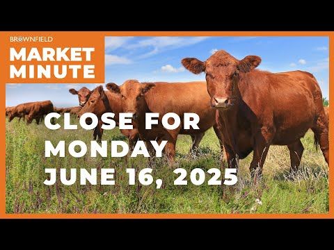 Cattle were up sharply Monday | Closing Market Minute cover art