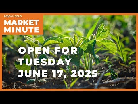 Soybeans are up Tuesday morning | Opening Market Minute cover art