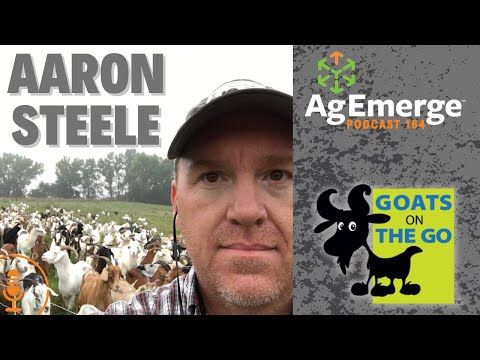 AgEmerge Podcast 164 with Aaron Steele with Goats on the Go cover art