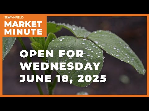 Soybeans are lower Wednesday morning | Opening Market Minute