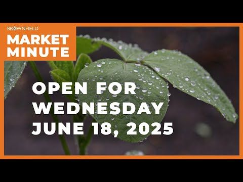 Soybeans are lower Wednesday morning | Opening Market Minute cover art